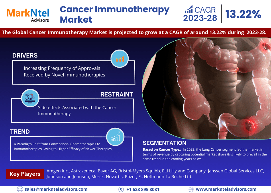 Cancer Immunotherapy Market