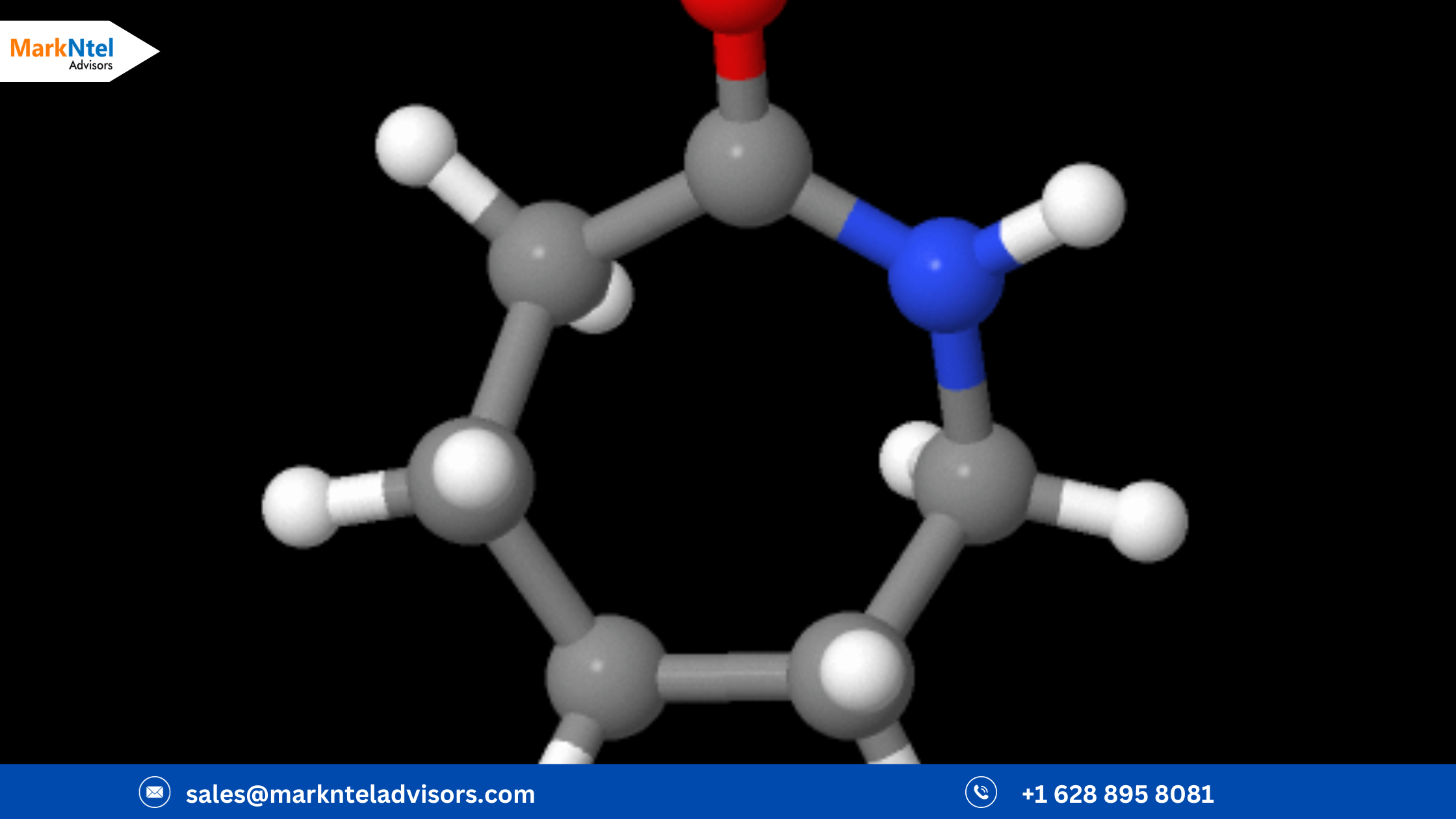 Analysis of Global Caprolactam Market Sales, Industry Revenue, And The Competitive Landscape