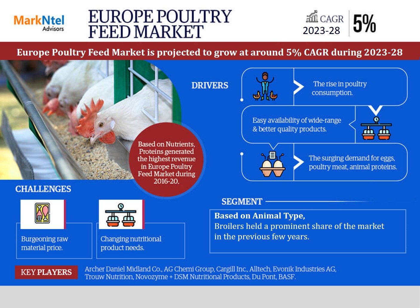 Europe Poultry Feed Market Industry Growth, Size, Share, Competition, Scope, Latest Trends and Challenges, to 2023-2028