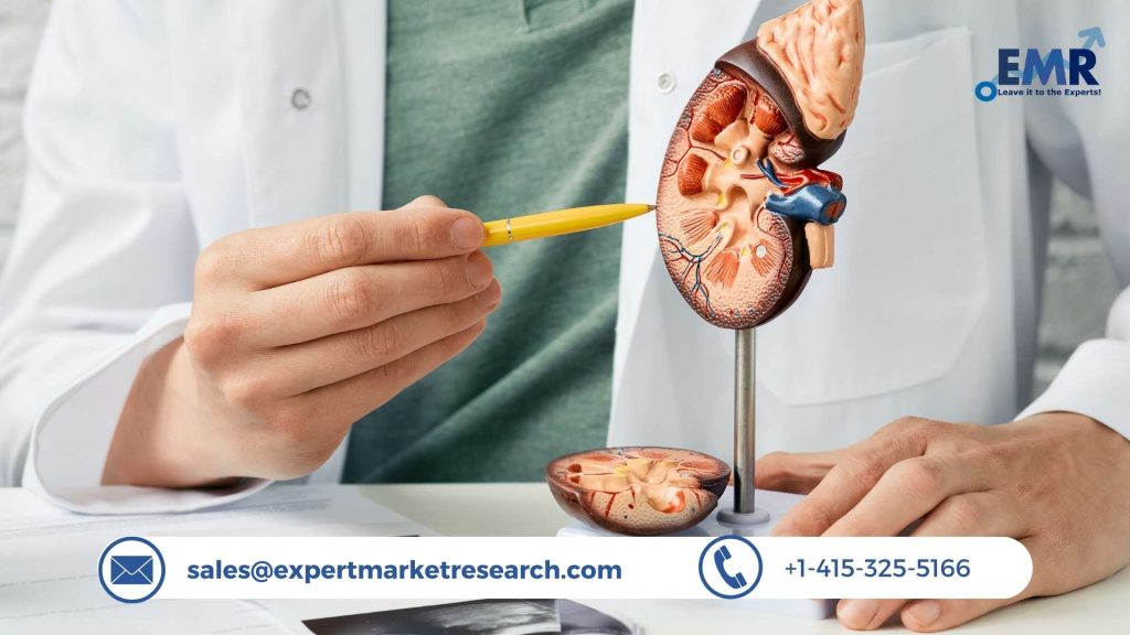 Kidney Stone Management Market Trends