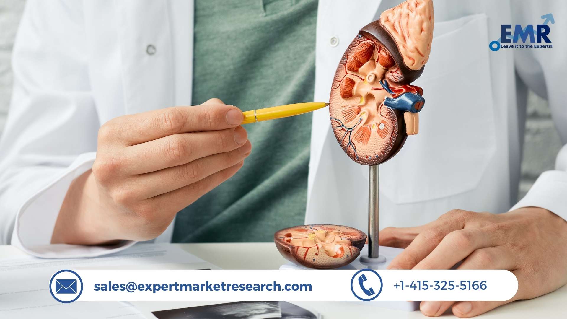 Global Kidney Stone Management Market Size, Share, Report, Growth, Key Players, Forecast 2023-2028