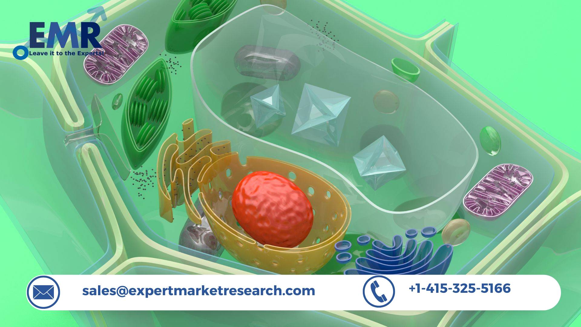 Global Nanocellulose Market is expected to grow steadily at CAGR of 21% in the Forecast Period of 2023-2028