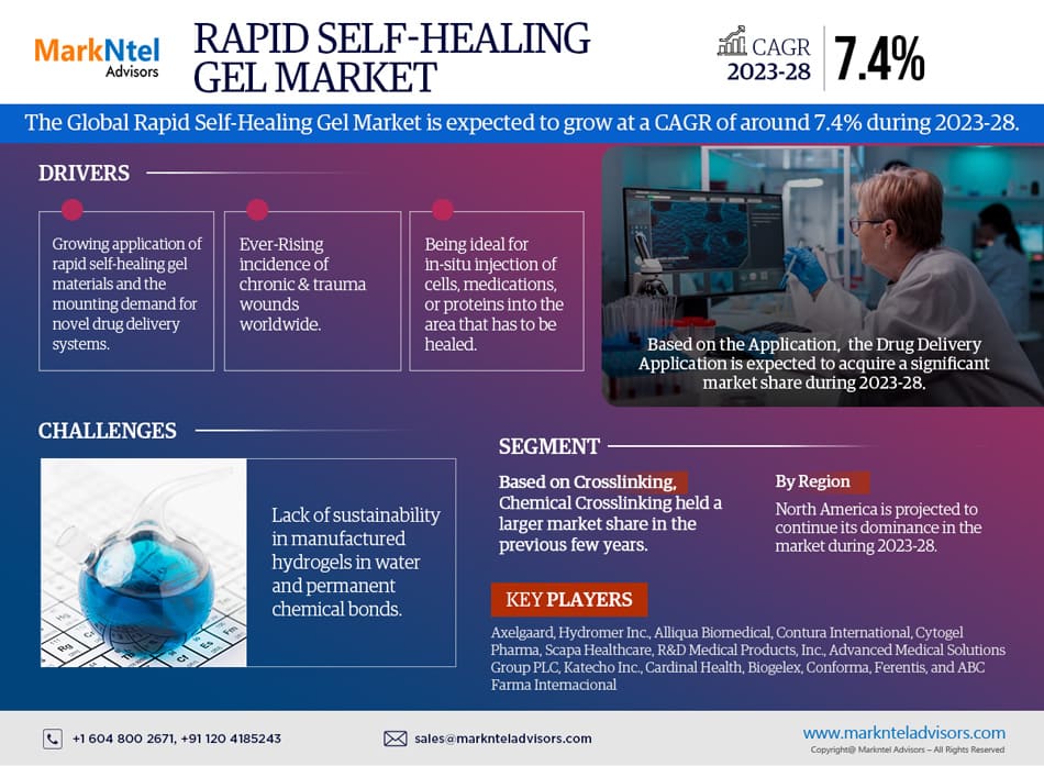 Rapid Self-healing Gel Market