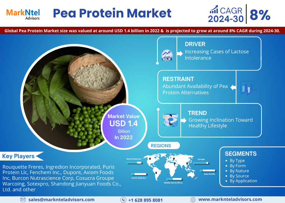 Global Pea Protein Market Share, and Size, and Growth | Latest Analysis 2024-30