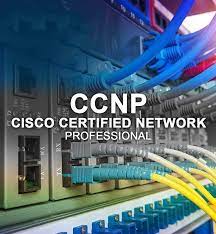 CCNP Training in Chandigarh