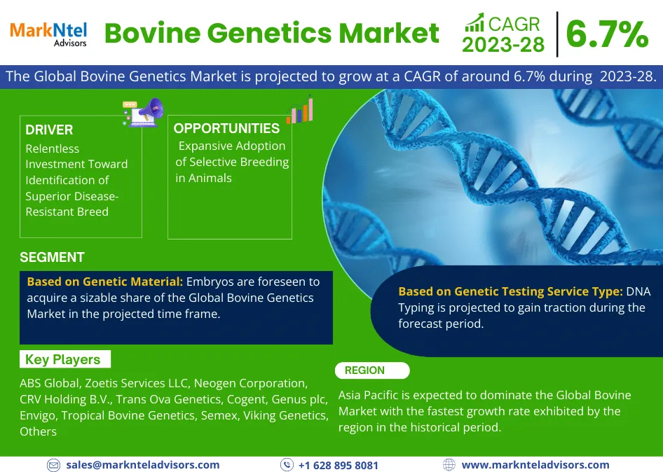 2023-2028, Bovine Genetics Market Report: Analysis of Industry Global Size, Share, Demand and Projection in the next few years