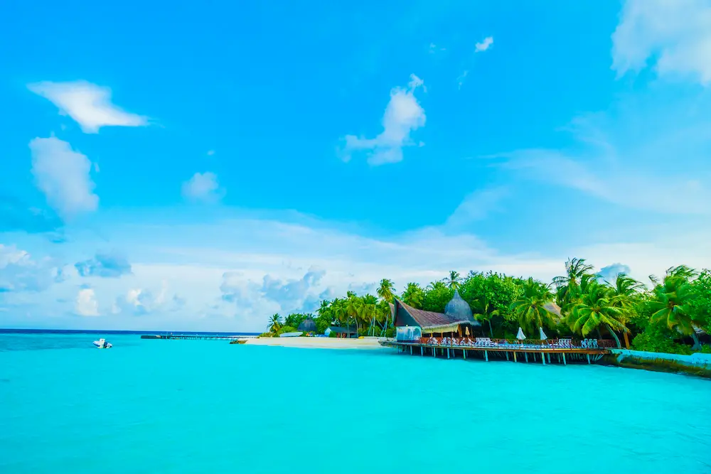 Maldives Wellness Retreats Nurturing Your Body and Soul