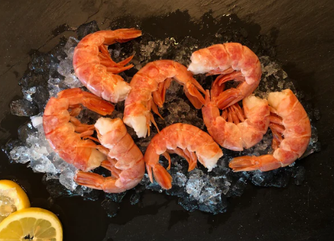 Royal Red Shrimp