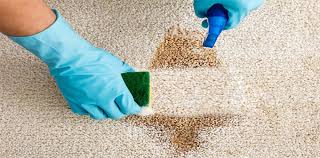 Why Carpet Cleaning Services are Essential for Well-Being