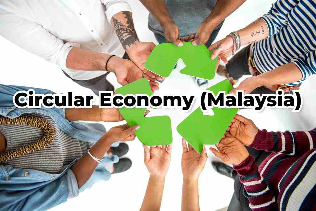 Integrating the Principles of Circular Economy (Malaysia) Into Businesses